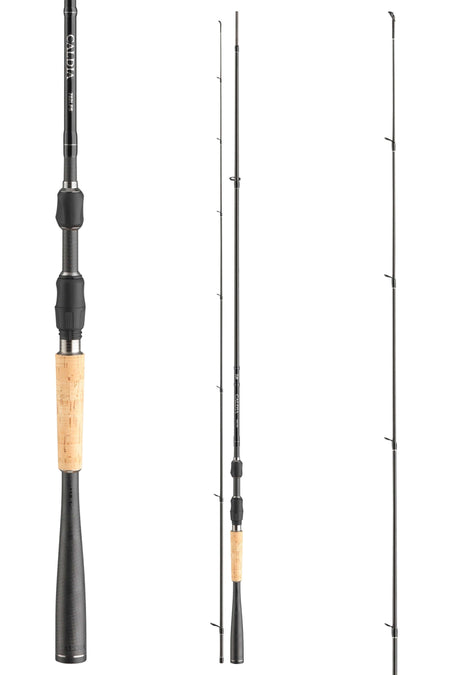 DAIWA Caldia Sensor Spin Spinnrute