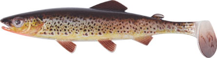 Shirasu Clone Shad Gummifisch Real Design