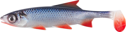 Shirasu Clone Shad Gummifisch Real Design