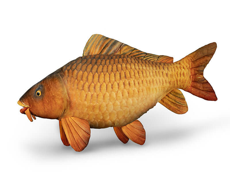 DELPHIN Plüschkarpfen Carpy 60cm