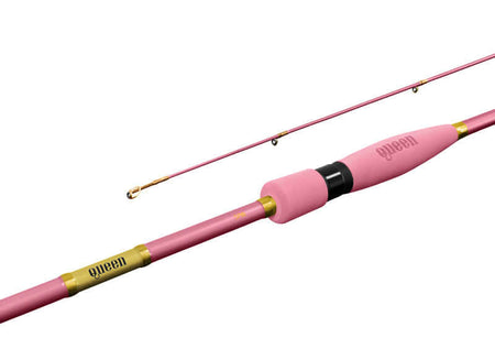 DELPHIN QUEEN Spin 210cm 2-10g Spinnrute