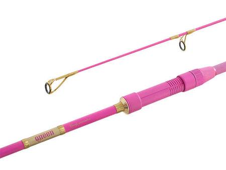 DELPHIN QUEEN Candy 300cm 3.00LBS Karpfenrute