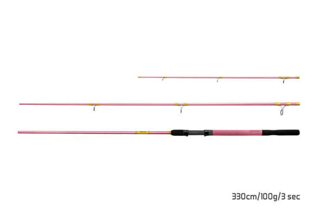 DELPHIN QUEEN Feeder + 3 Spitzen 330cm 100g Feederrute