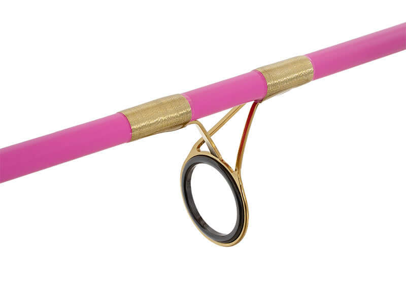 DELPHIN QUEEN Candy 300cm 3.00LBS Karpfenrute