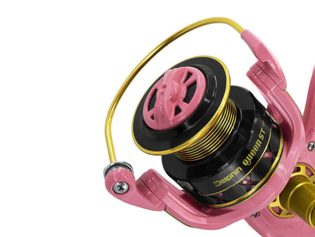 DELPHIN QUEEN 5T Karpfenrolle Feederrolle