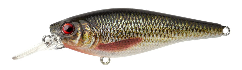 SPRO IKIRU Shad 7cm 10g