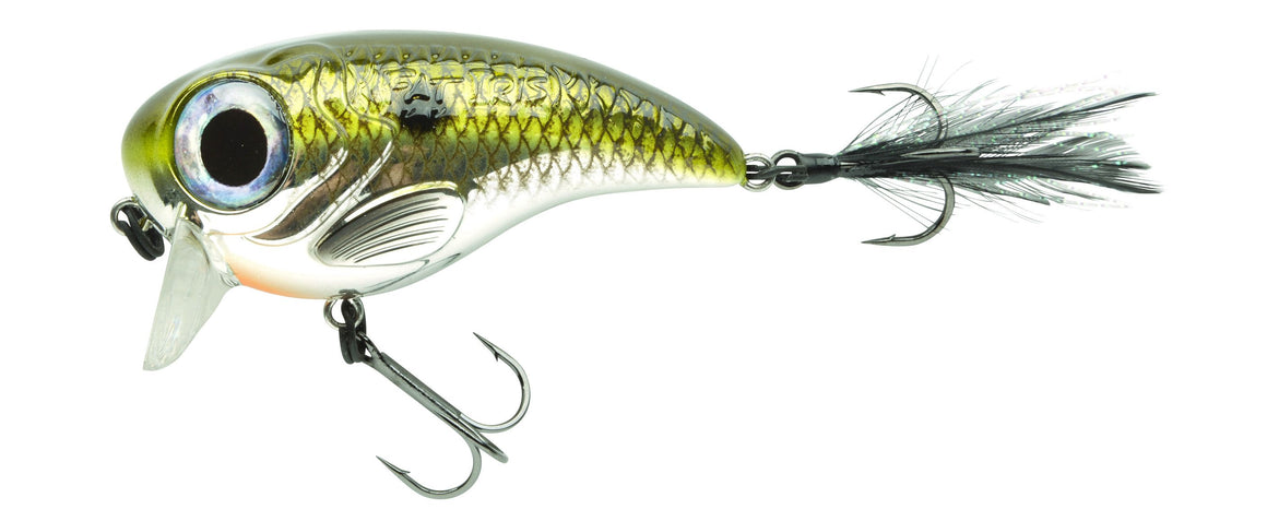 SPRO Fat IRIS 60/80 6cm oder 8cm Wobbler