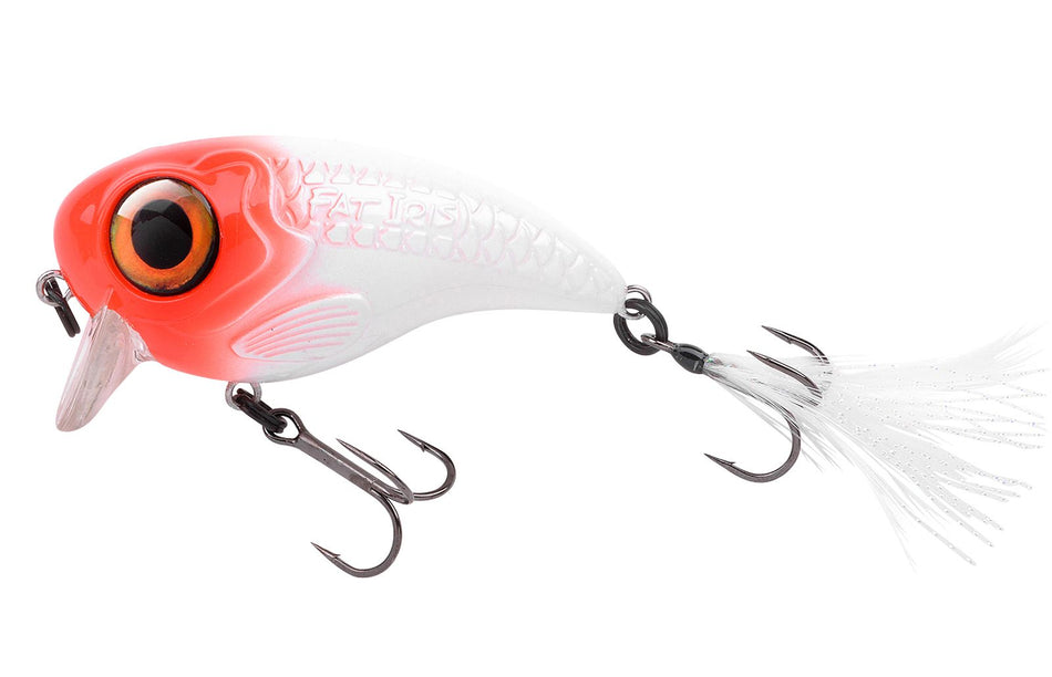 SPRO Fat IRIS 60/80 6cm oder 8cm Wobbler