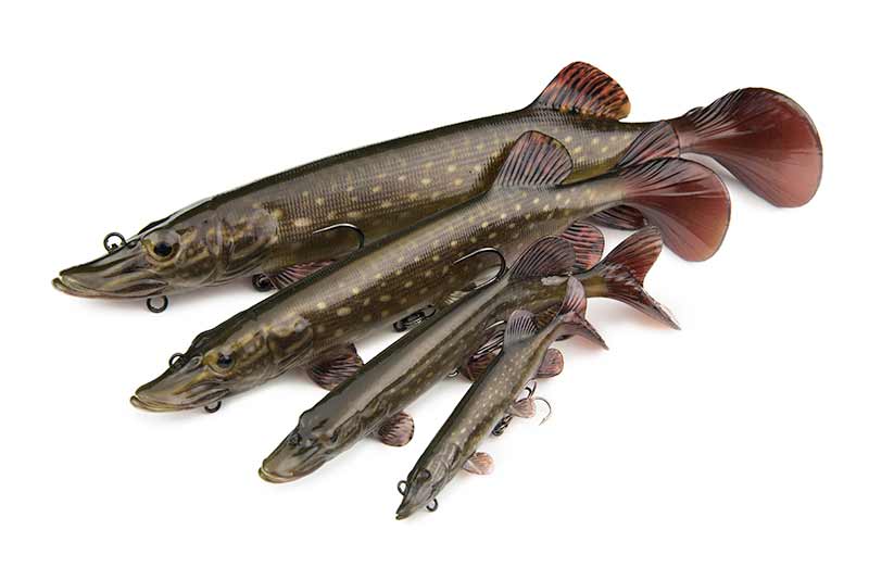 FOX Rage Ultra-Realistic Pike Replicant Wobbler