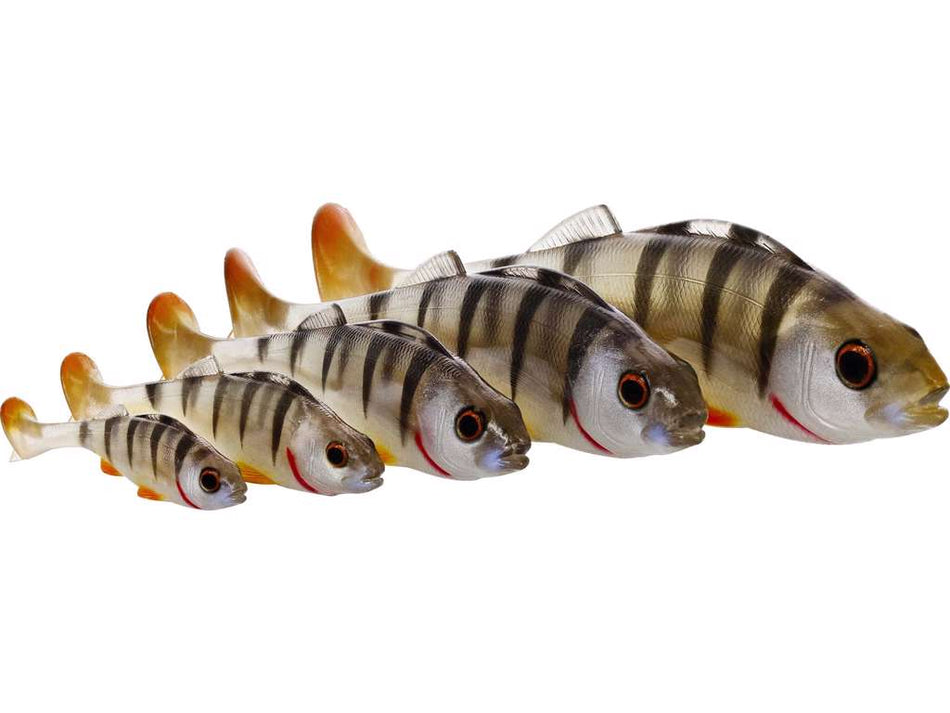 WESTIN Original Perch 12cm 19G 2PGS Gummifisch