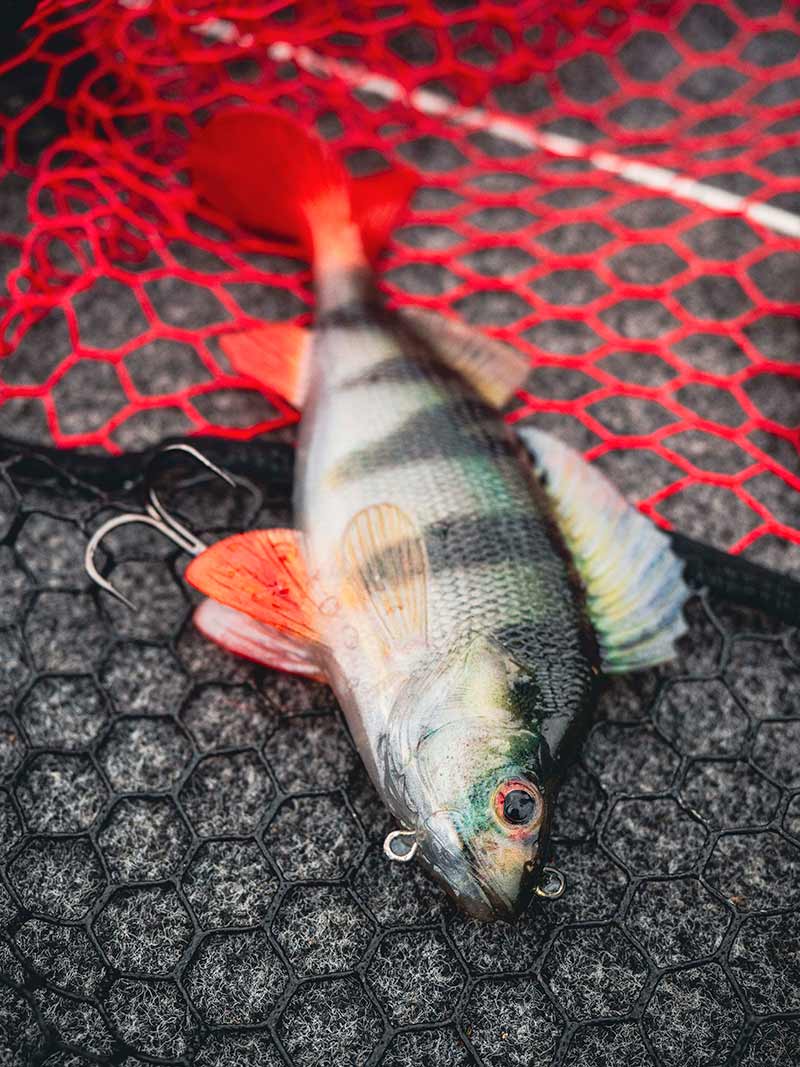 FOX Rage Ultra Realistic Pearch Replicant 10cm 22g Gummifisch