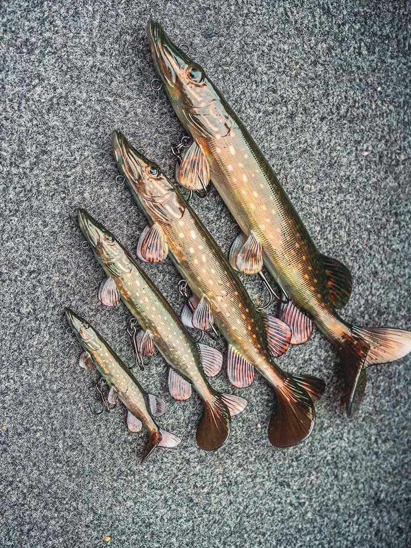 FOX Rage Ultra-Realistic Pike Replicant Wobbler