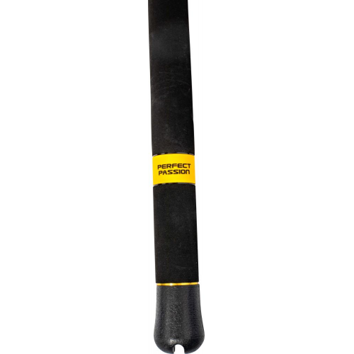 BLACK CAT Perfect Passion Rute XH-S 2,80m 350g Universalrute Welsangeln