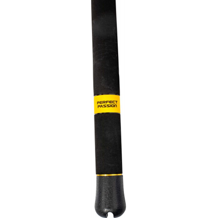BLACK CAT Perfect Passion Rute XH-S 2,80m 350g Universalrute Welsangeln