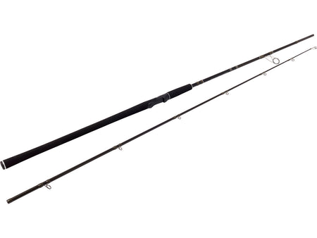 WESTIN W2 Powercast 8'3" 248cm Baitcastrute
